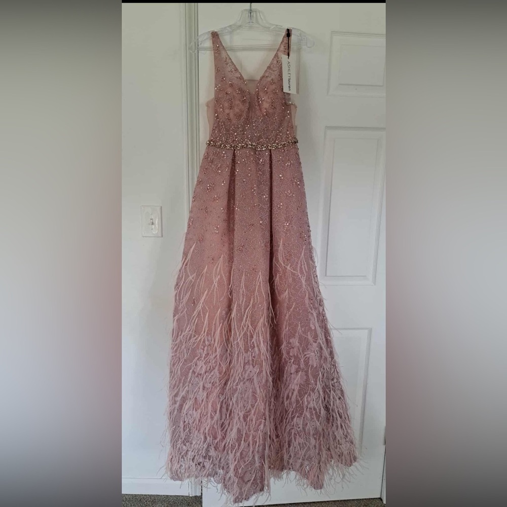 Ashley Lauren 1889 Pink Beaded Gown with Feather Accents
